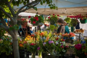 local floral farmers market